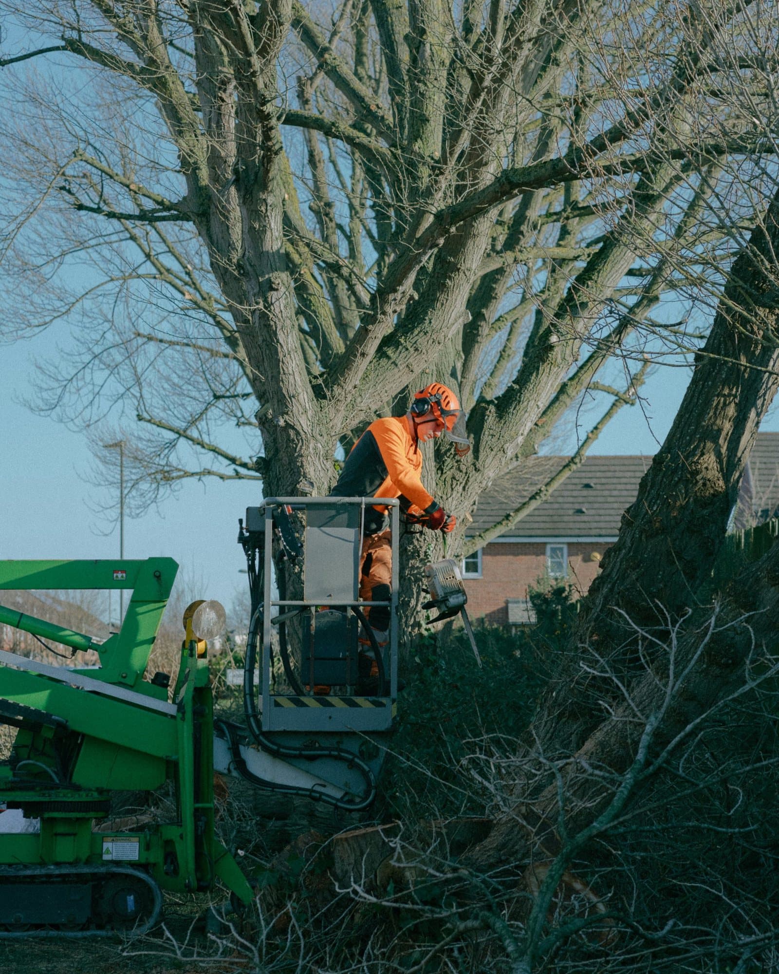 An arborist in a lift working in the canopy of a large tree.