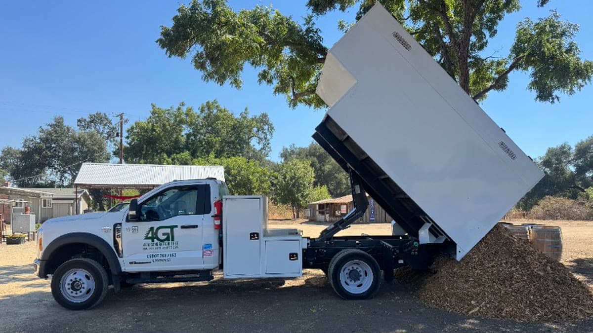 A tree service dump truck tipping a load of fresh wood chips onto the ground.